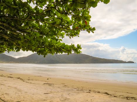 Ubatuba, Sao Paulo, Brazil, view of Lagoinha Beach in sunny day and clouds, with bay in the background and leaves in the foreground.