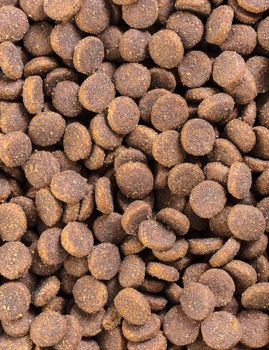 background of a texture of dry food for animals
