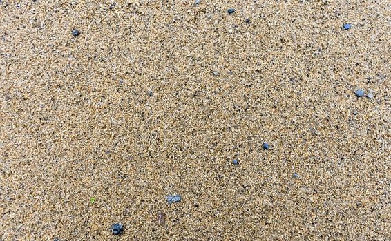 texture of the sand on the lake, come across small stones
