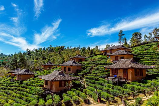 Ban rak thai in Mae hong son,Thailand.