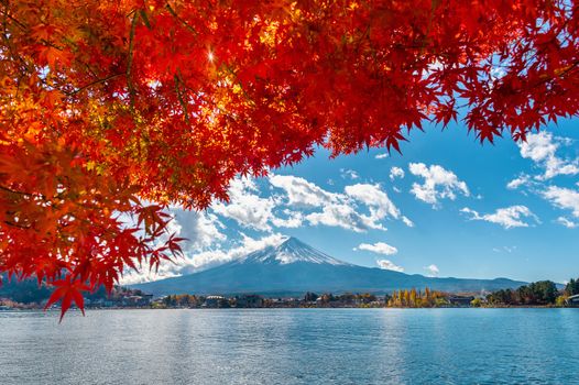 Autumn Season and Fuji mountain at Kawaguchiko lake, Japan.