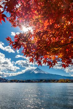 Autumn Season and Fuji mountain at Kawaguchiko lake, Japan.