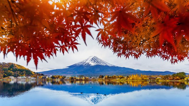 Autumn Season and Fuji mountain at Kawaguchiko lake, Japan.