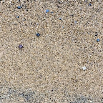 texture of the sand on the lake, come across small stones
