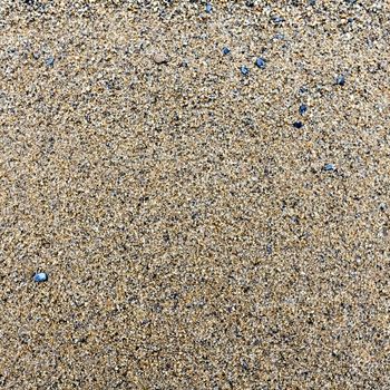 texture of the sand on the lake, come across small stones