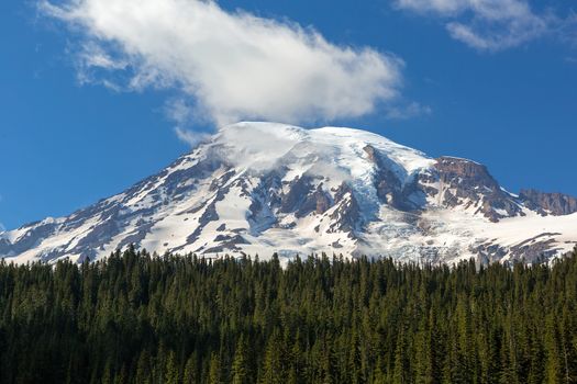 Mount Rainier in National Park amongst evergreen trees with blue sky and white clouds closeup