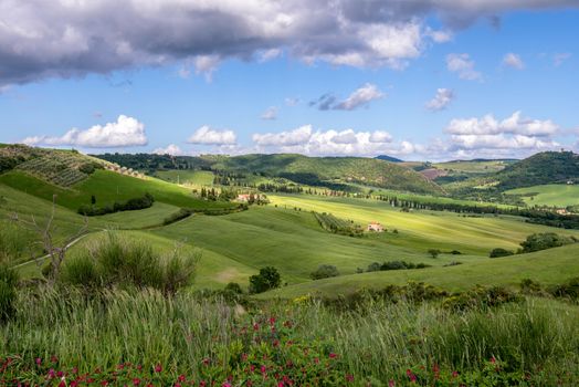 Farmland in Val d'Orcia Tuscany