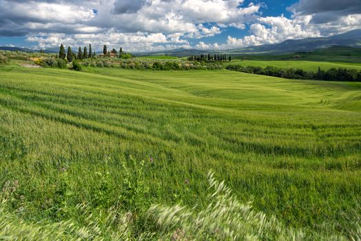 Farmland in Val d'Orcia Tuscany