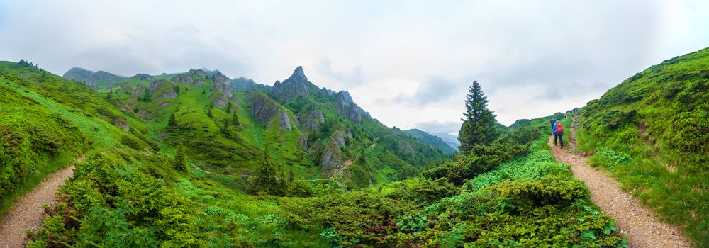 Hikers going to Mount Ciucas peack on summer, part of the Carpathian Range from Romania