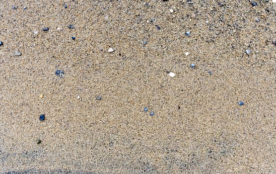 texture of the sand on the lake, come across small stones