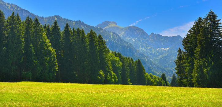 Summer Alps, Germany