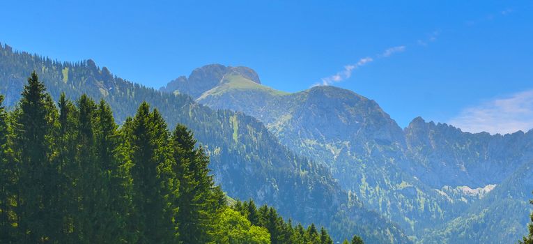 Summer Alps, Germany