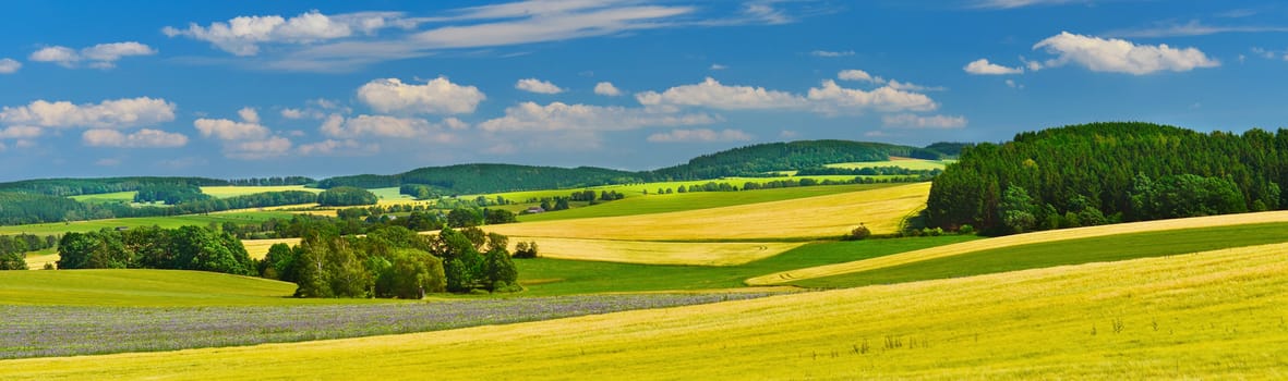 Summer fields, Germany