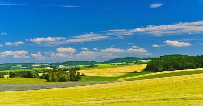 Summer fields, Germany