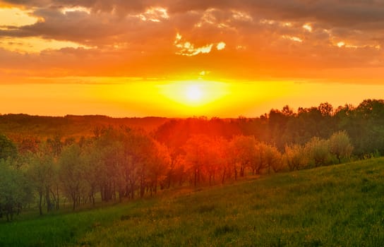 Spring meadow at sunrise