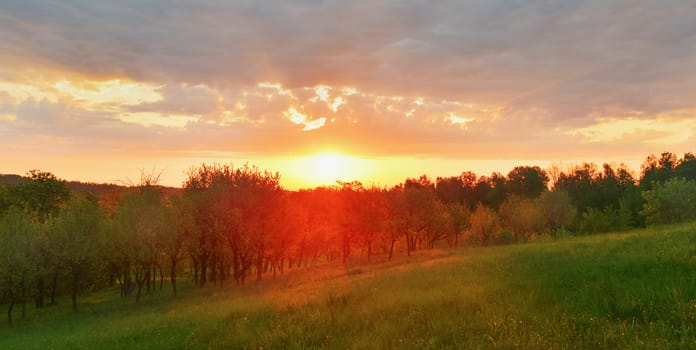 Spring meadow at sunrise