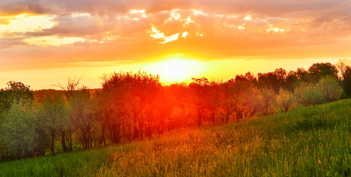 Spring meadow at sunrise