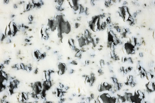 Danish blue cheese texture or background. Close up. Top view