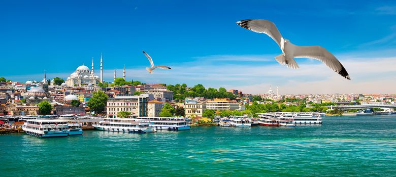 Touristic boats in Golden Horn bay of Istanbul and view on Suleymaniye mosque, Turkey