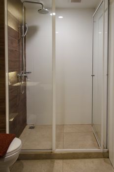 Modern interior bathroom shower