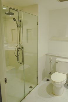 Modern luxury flush toilet and shower