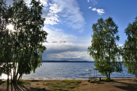 trees on the edge of the lake illuminated by the contour light of the sun