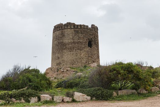 Nuraghe on the island of sardinia Italy,what is known about the Nuragic civilization, is that it was a people of shepherds and farmers grouped into communities who lived in Sardinia for 8 centuries.