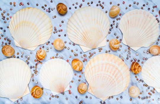  Big, small and tiny seashells on blue marble background. Sea theme.