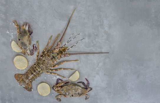 Food frame with crustacean . Lobster, crab, lemon and  salt on background
