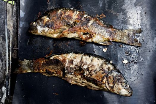 fish cooked on the grill for a picnic outdoors