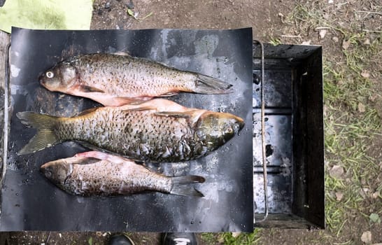 raw carp cooked for baking on the grill and laid out on a baking sheet