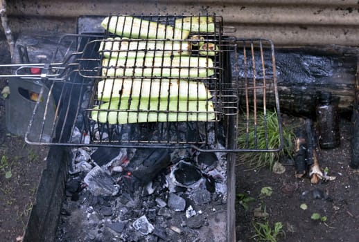 zucchini fried on the grill on the coals, visible red coals