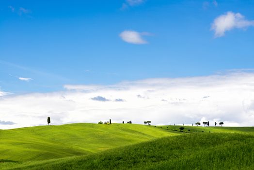 View of the Scenic Tuscan Countryside