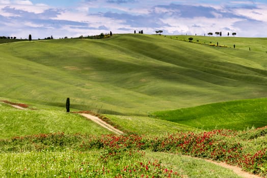 View of the Scenic Tuscan Countryside