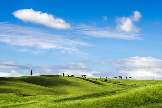 View of the Scenic Tuscan Countryside