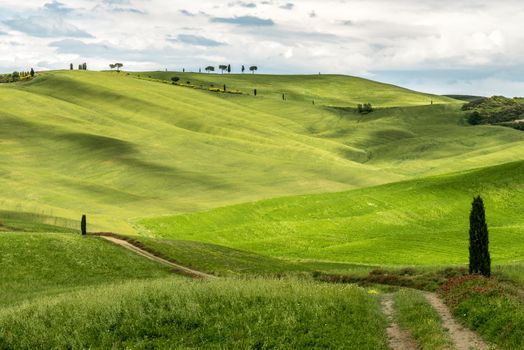 View of the Scenic Tuscan Countryside