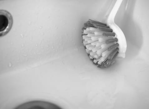 BLACK AND WHITE PHOTO OF WET BRUSH IN THE BASIN