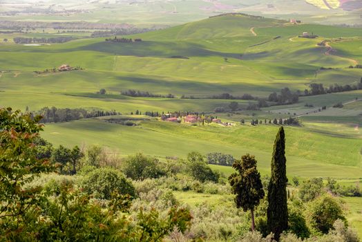 Countryside of Val d'Orcia