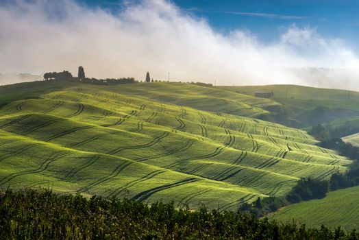 PIENZA, TUSCANY/ITALY - MAY 22 : Mist rolling through Val d'Orcia in Tuscany on May 22, 2013