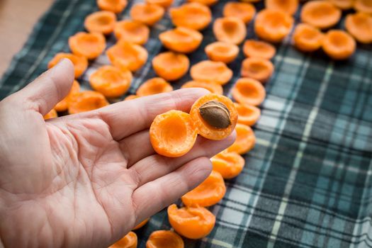 Female hand taking away pits from fresh juicy mellow apricots preparing to sun drying for conservation