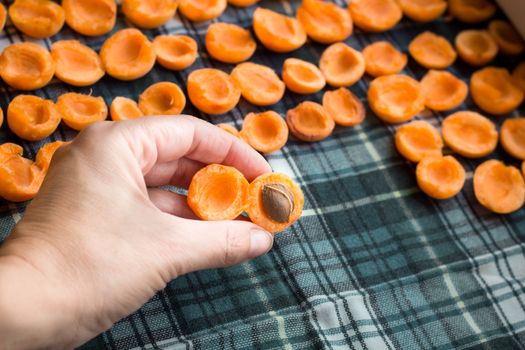 Female hand taking away pits from fresh juicy mellow apricots preparing to sun drying for conservation