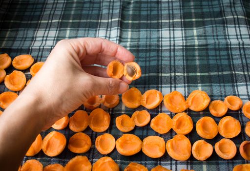 Female hand taking away pits from fresh juicy mellow apricots preparing to sun drying for conservation