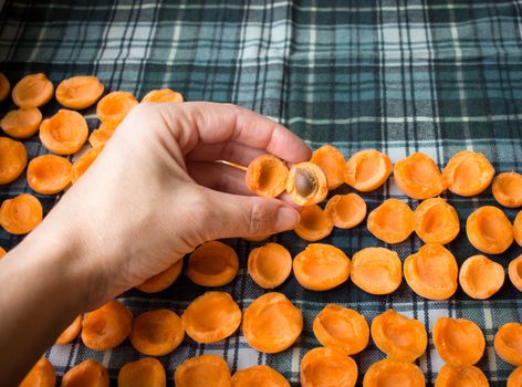 Female hand taking away pits from fresh juicy mellow apricots preparing to sun drying for conservation