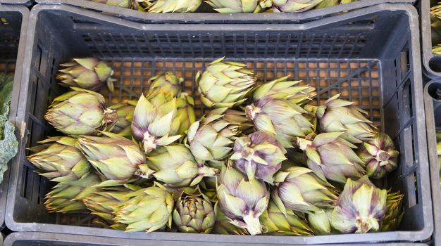 artichokes food on the market in italy