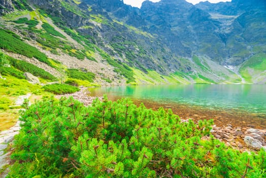 view of the beautiful picturesque lake in the Tatras
