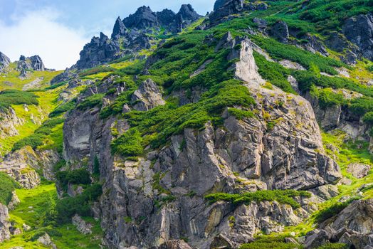 picturesque stone mountains of the Tatry covered with green plants close-up