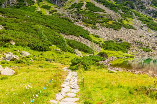 stone path for a walk around the lake in the Tatras