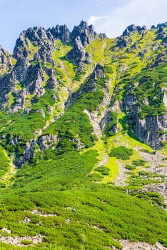 vertical view of the sharp peak of the mountains of high Tatras close up