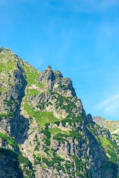 sharp mountain top, covered with plants against the sky, close-up