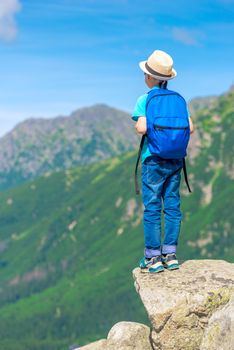 view from the back boy traveler with a backpack standing on a rock and enjoying the beautiful scenery